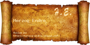 Herzog Endre névjegykártya